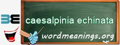 WordMeaning blackboard for caesalpinia echinata